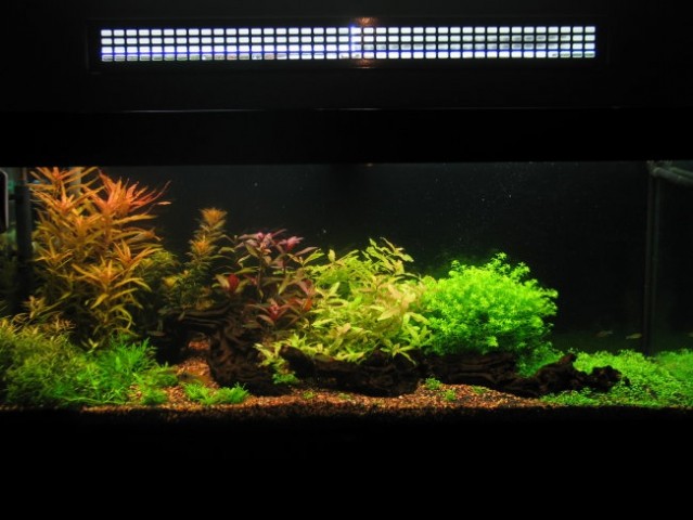 240l akvarij - foto