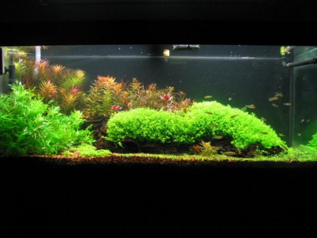 240l akvarij - foto