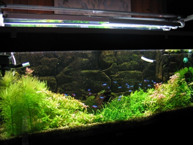 240l akvarij - foto