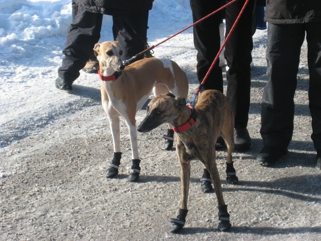 Coursing Stubai - foto povečava