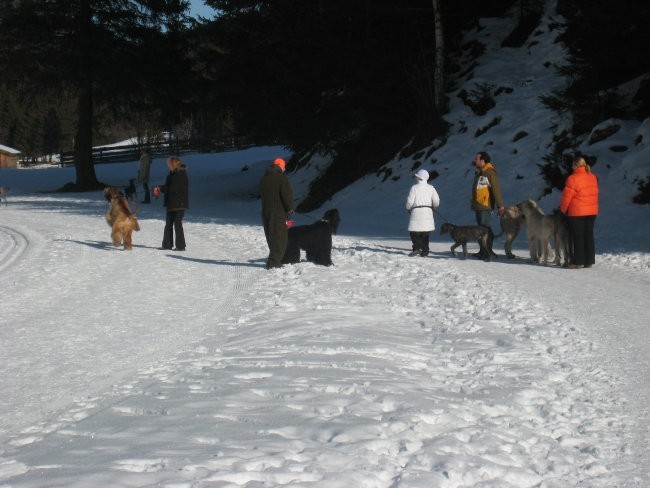 Coursing Stubai - foto povečava