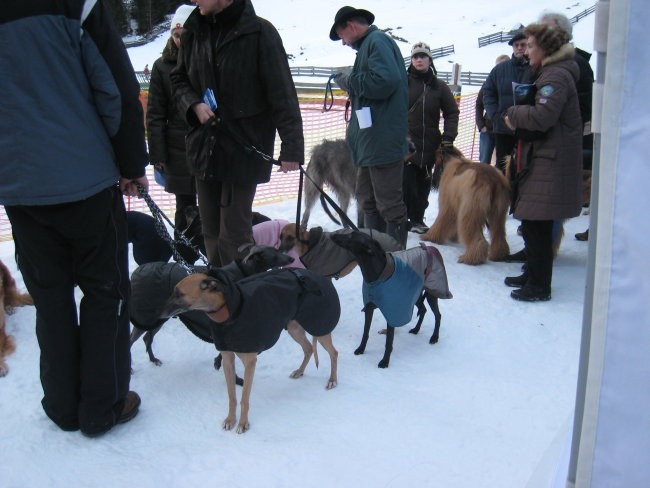 Coursing Stubai - foto povečava