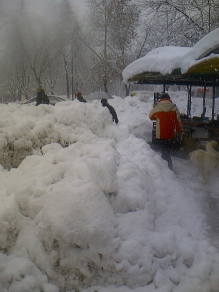Prvi sneg nov 2005 - foto povečava