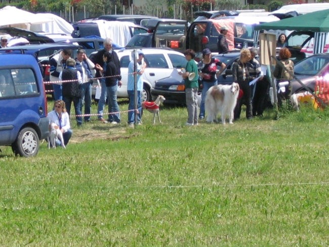 Coursing Lago di Garda 30 4 2006 - foto povečava