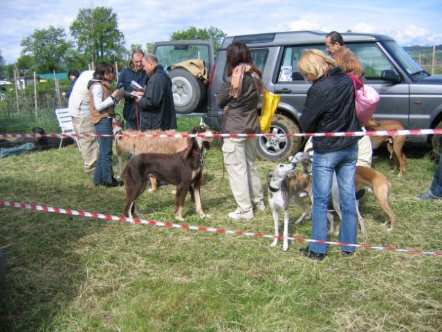 Strog veterinarski pregled