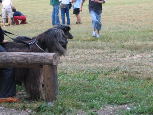 čakanje na registracijo