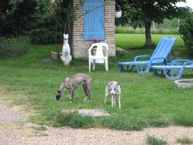 Manoir De La Grenouillere - foto povečava