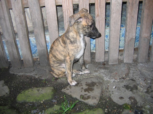 Bistra leglo 2005 - foto
