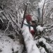 13.12. 2008 Smrekovc (:)