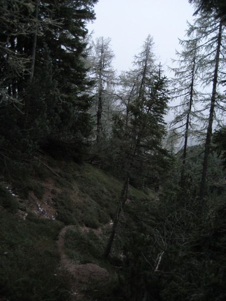 19.10.2009 Kepa čez Kurjeke - foto povečava