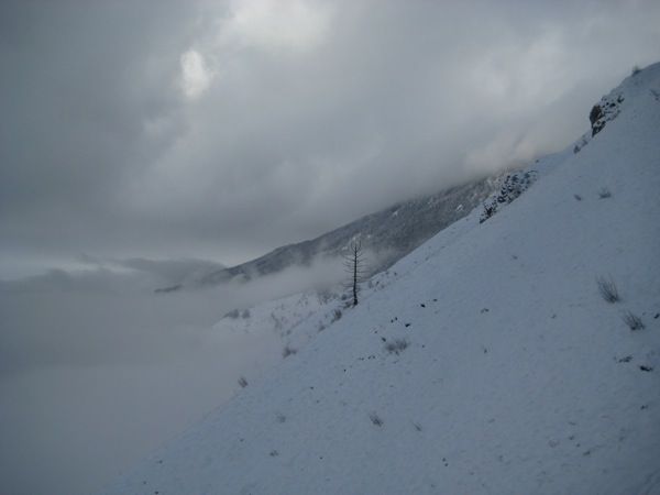07.01.2009 Kamniški vrh - foto