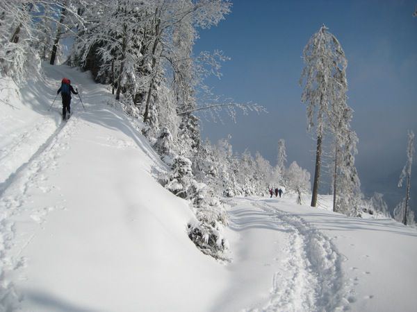 Pozen začetek.