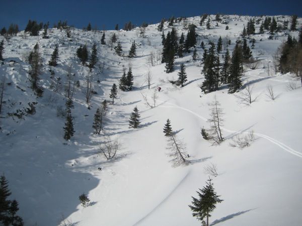 13.02.2010 Rzenik - foto