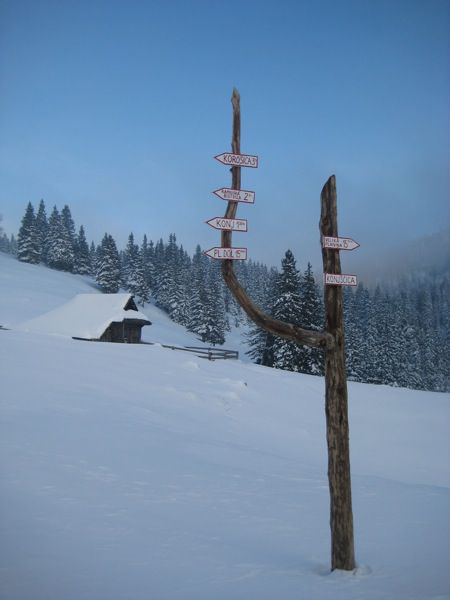 13.02.2010 Rzenik - foto povečava