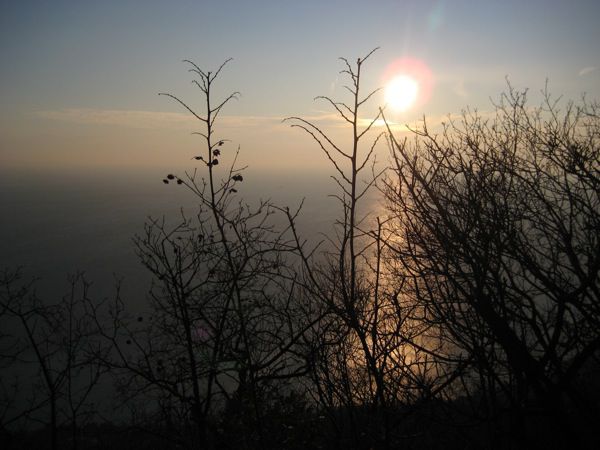 14.02.2010 Napoleonica - foto povečava