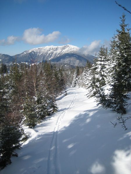 21.02.2010 Komen - Travnik - foto