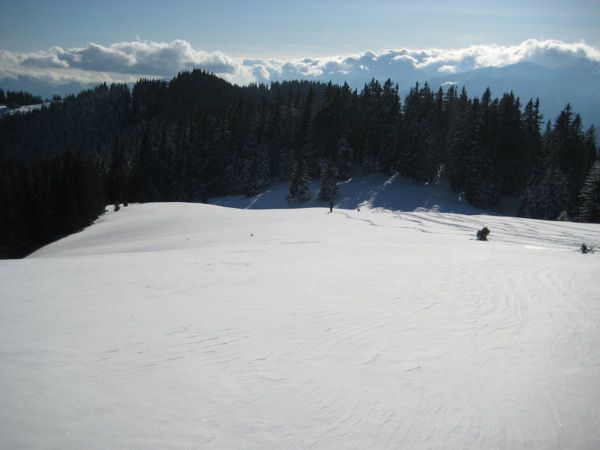 21.02.2010 Komen - Travnik - foto
