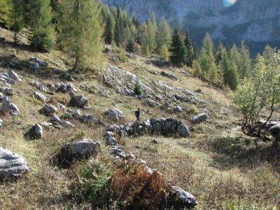 Ostanki prve v listinah omenjene planine na Bovskem.