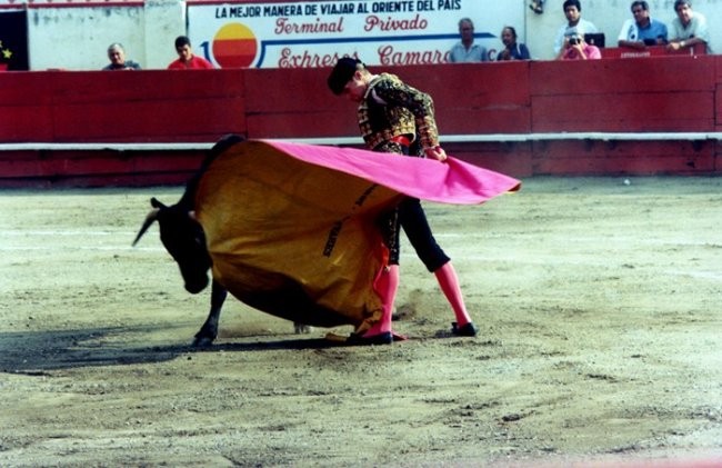 Sandy Olivares - Javier  - foto povečava