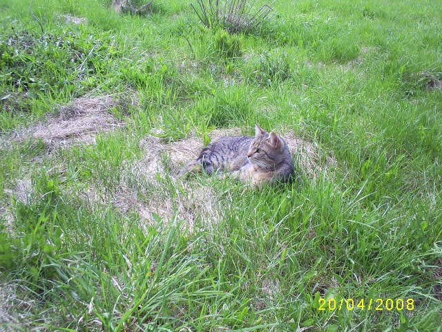 LOJZEK 2008 - foto povečava