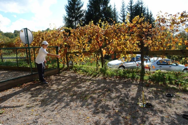Podstenje 2007 - foto povečava