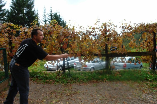Podstenje 2007 - foto povečava