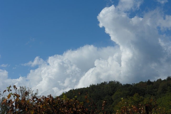 Podstenje 2007 - foto povečava