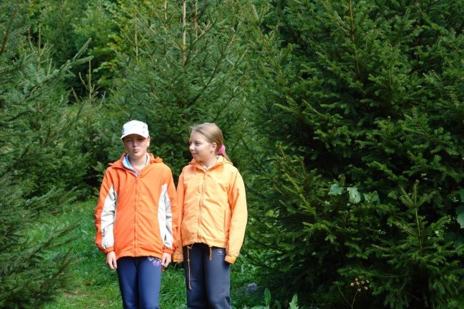 Podstenje 2007 - foto povečava