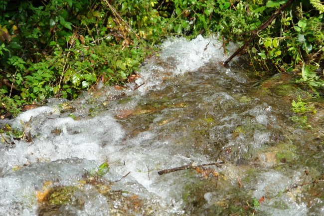 Podstenje 2007 - foto povečava