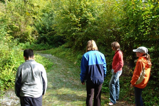 Podstenje 2007 - foto povečava
