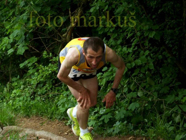 OSOLNIK 2007 - foto