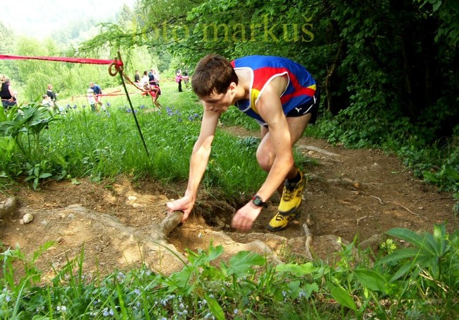 OSOLNIK 2007 - foto povečava