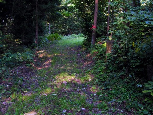 Gore nad Idrijo, SLO pokal - foto povečava