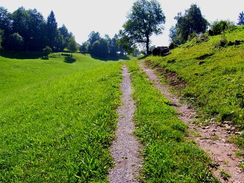 Gore nad Idrijo, SLO pokal - foto povečava