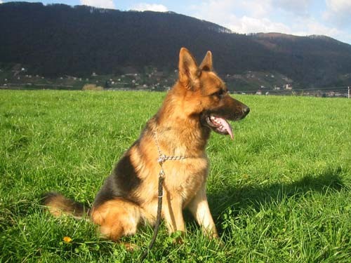Od 2 do 3 let - foto