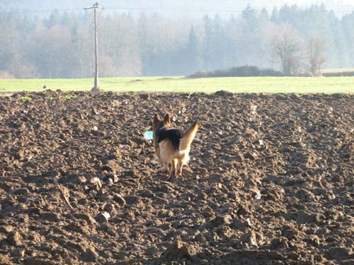 Februar 2007 - foto povečava