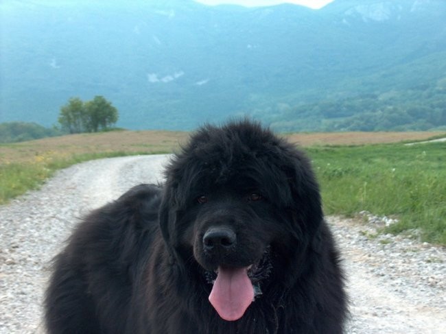 mama Soča