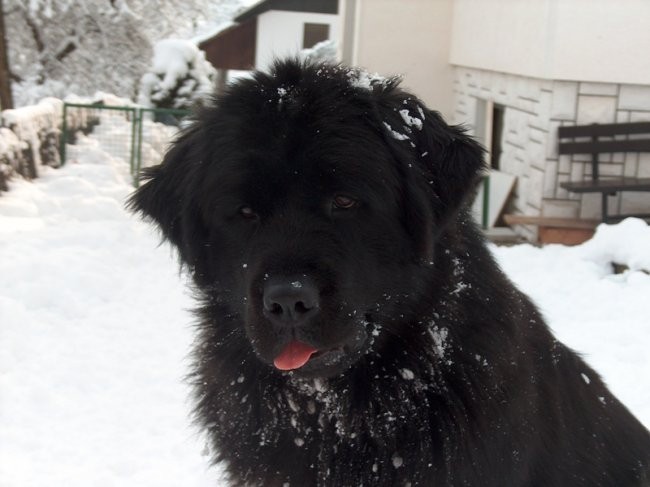 Januar 2007 - foto povečava