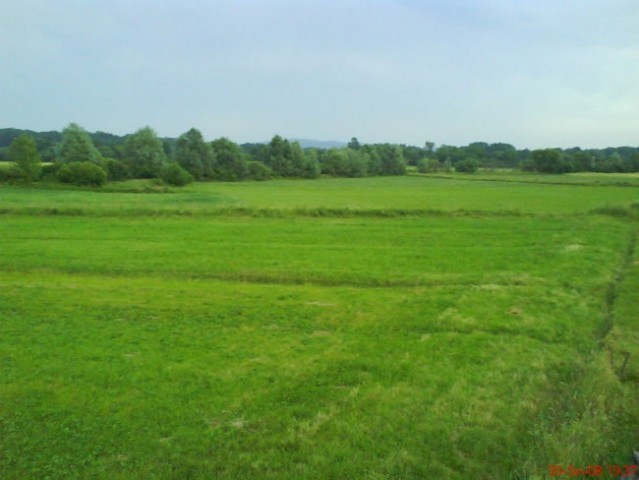 Album - foto