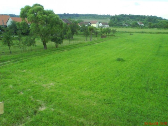Album - foto