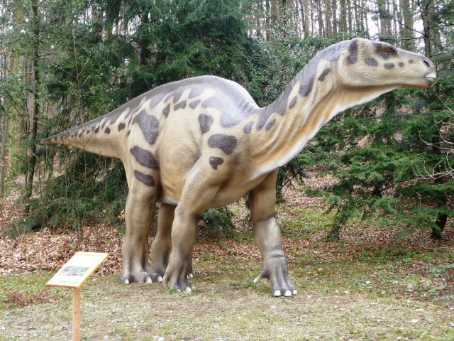 Arboretum - razstava dinozavrov - foto