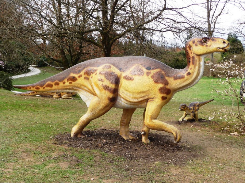 Arboretum - razstava dinozavrov - foto povečava