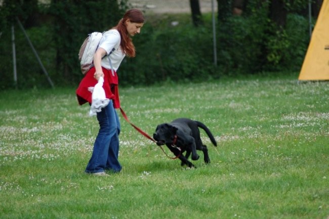 Mala sola agility - foto povečava