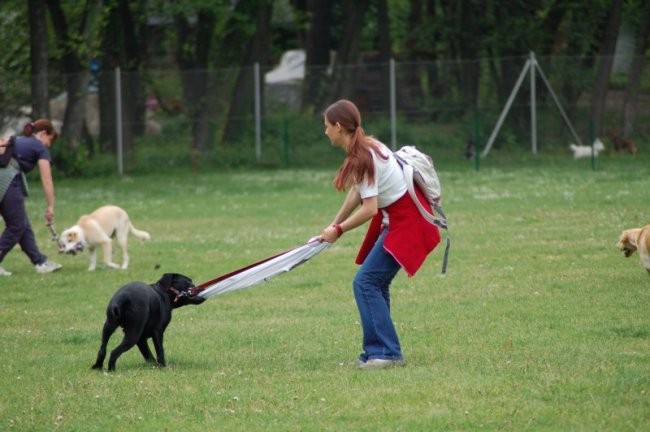 Mala sola agility - foto povečava