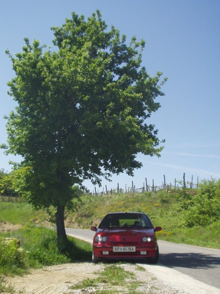 Clio - foto povečava