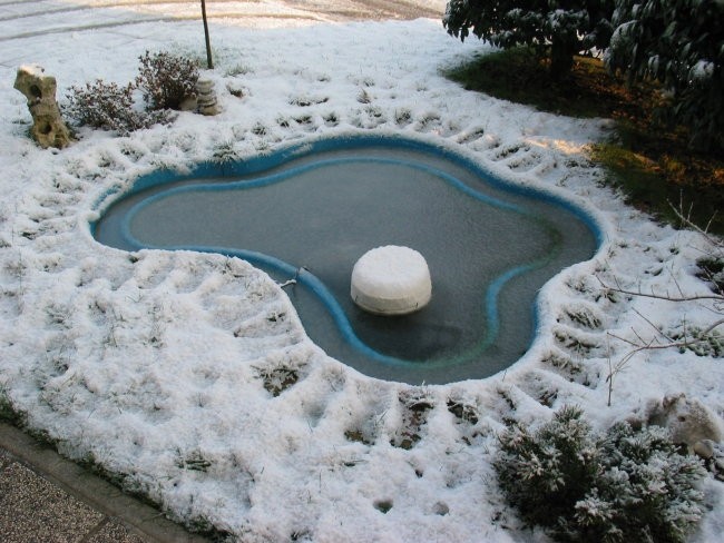 Ribnik in okolica - foto povečava