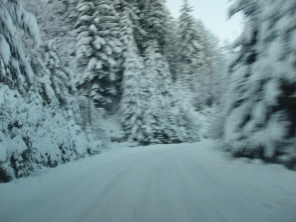 20080306 Ribniška koča - Kope - turno smučanj - foto povečava