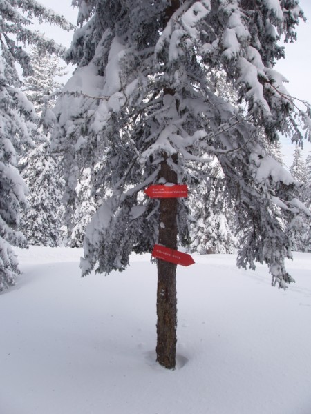 20080306 Ribniška koča - Kope - turno smučanj - foto