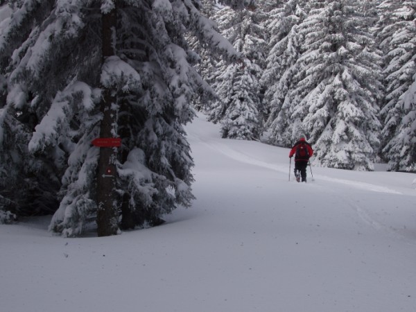 20080306 Ribniška koča - Kope - turno smučanj - foto