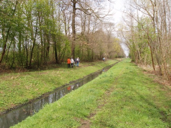 20080324 Pot ob Črncu,M.Polana-Bratonci - foto povečava